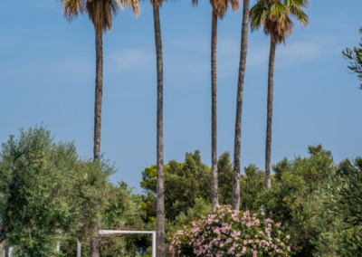 piscina esterna