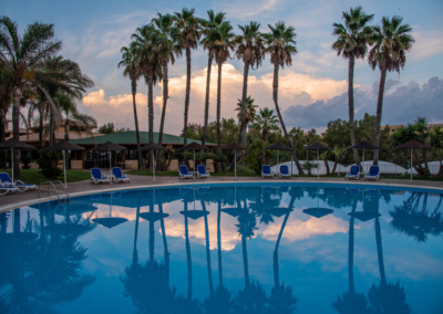 piscina e palme