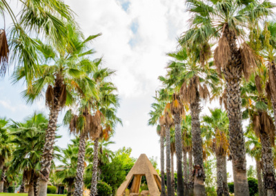 piramide da lontano con palme